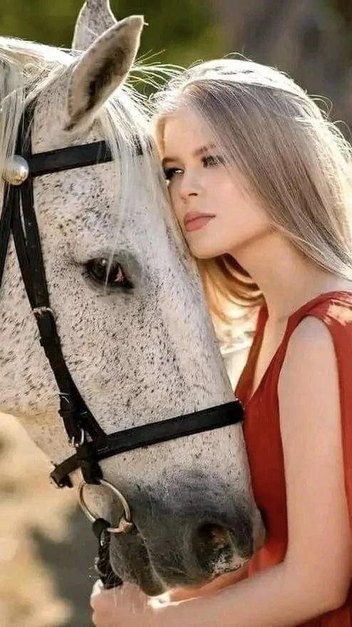 خلفيات حصان ابيض مع بنات