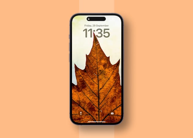 The fallen leaf depth effect iPhone wallpaper