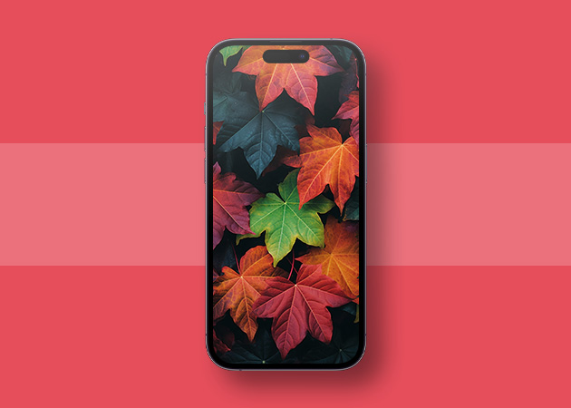 1697721819 312 Best fall wallpapers for iPhone in 2023| UberEats Clone - Food Delivery App