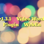 Vidi v1.3.1 – Video WordPress Plugin – WebEn