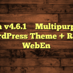 Xtra v4.6.1 – Multipurpose WordPress Theme + RTL – WebEn